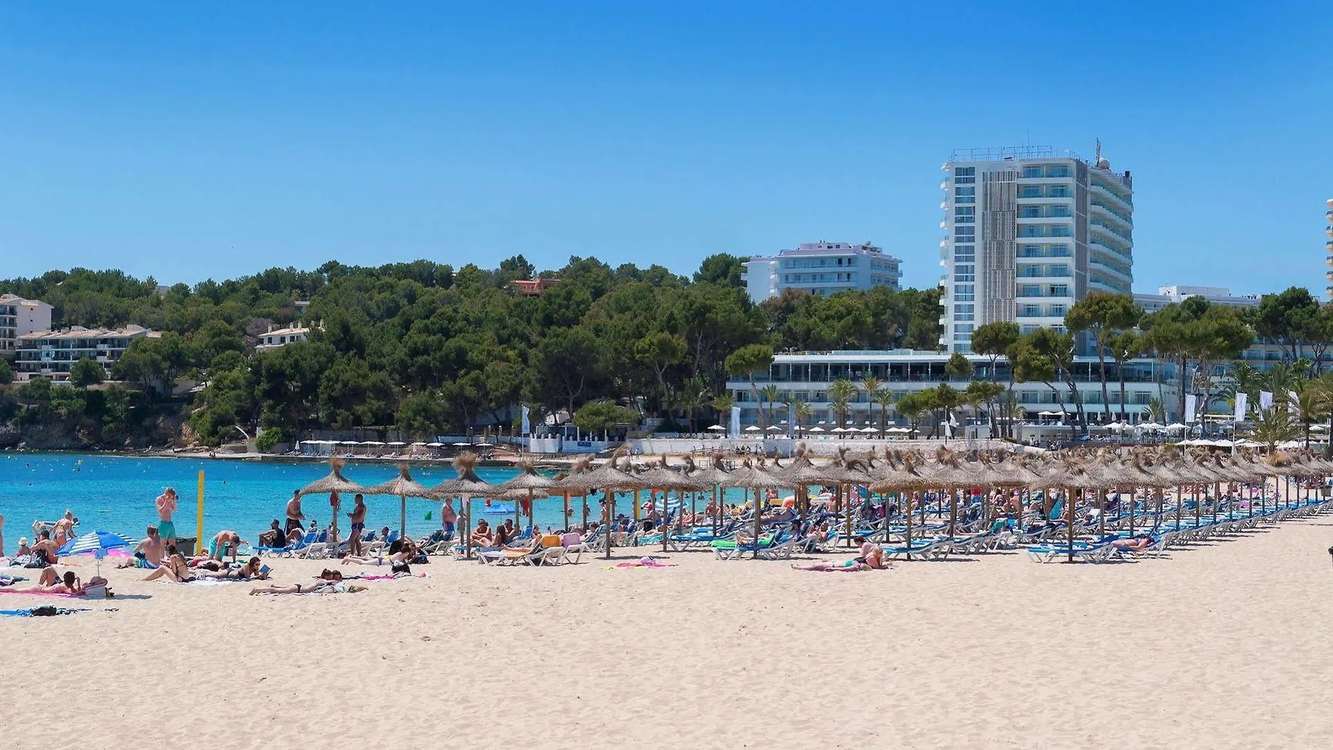 Hotel Melia Antillas Calvia Beach Magaluf